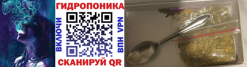 Шишки марихуана AK-47 Новая Ладога
